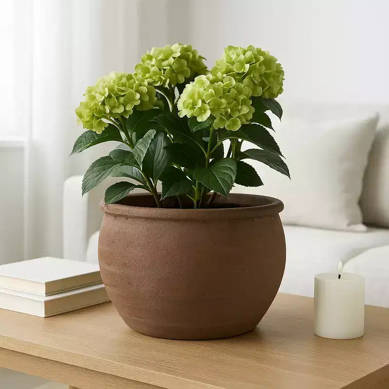 Round Traditional Flower Pots for Home Decor Accent - Terracotta Planter for Indoor and Outdoor Plants - Rustic Garden Plant Pots - 9, Brown