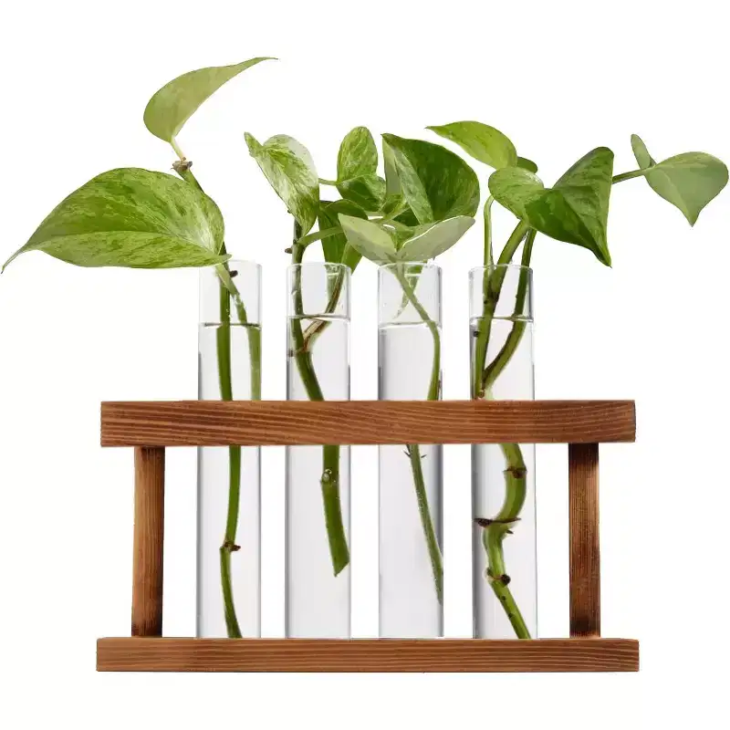 D'Eco Glass Plant Propagation Station (Set of 4 Tubes w Wooden Display) - Grow Hydroponic Plants - Holiday Christmas Gift for Plant Lovers