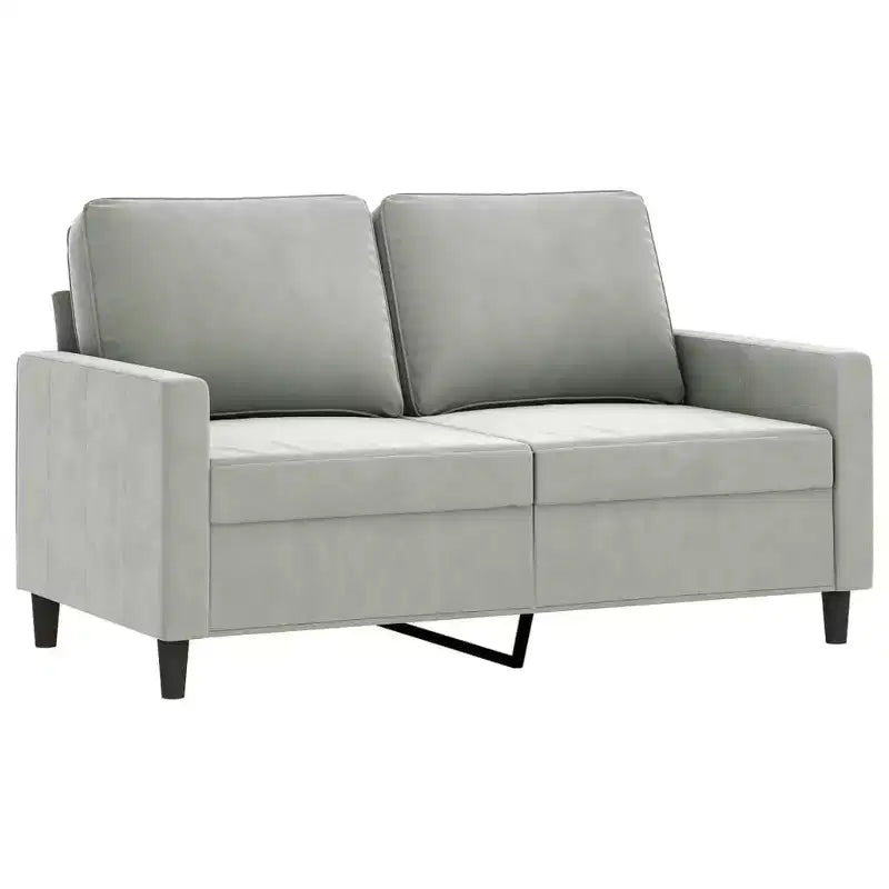 Modern 2-Seater Sofa Crafted from Velvet and Metal Frame, Comfortable Padded Seating, Light Gray - Ideal for Living Room or Patio