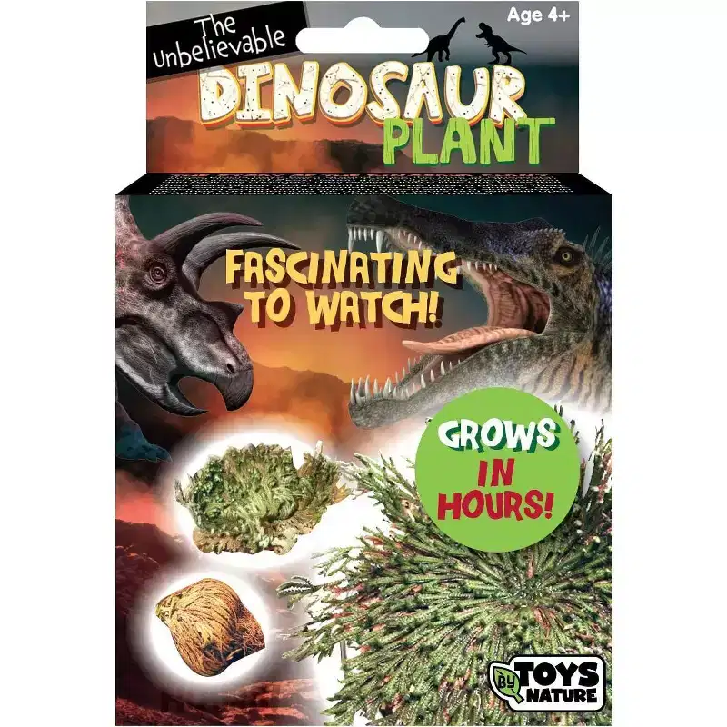 Dinosaur Plant - Grow Your Own Everlasting Evergreen - Simply Add Water and Watch It Grow in Just A Few Hours!