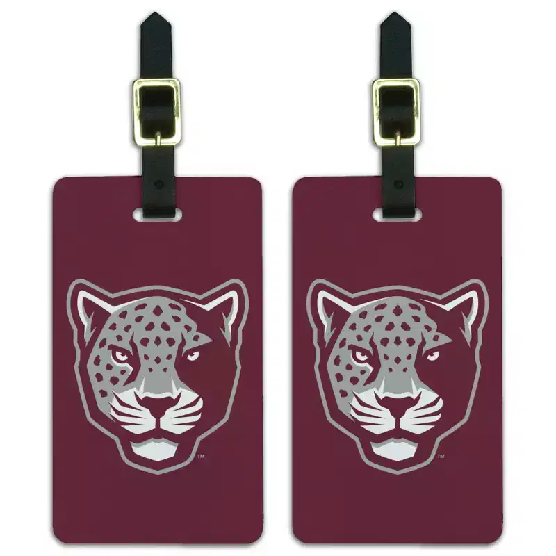 Texas AM UniversitySan Antonio Primary Logo Luggage ID Tags Suitcase CarryOn Cards Set of 2