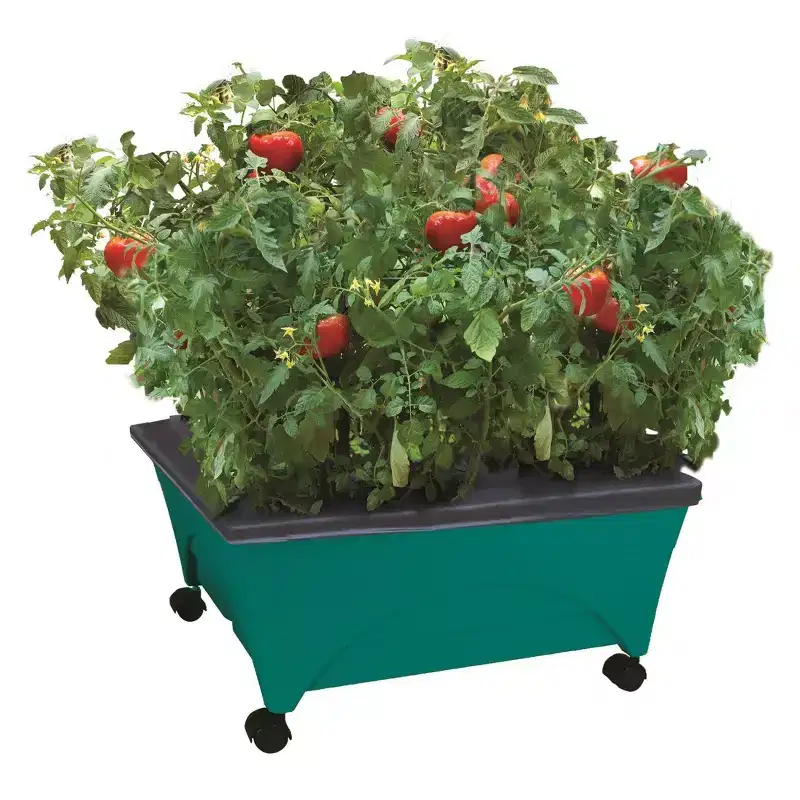 Emsco Little Pickers Raised Bed Children's Grow Box Rectangular Outdoor Planter Teal Green 24"x20"x30": Kids Gardening Accessory