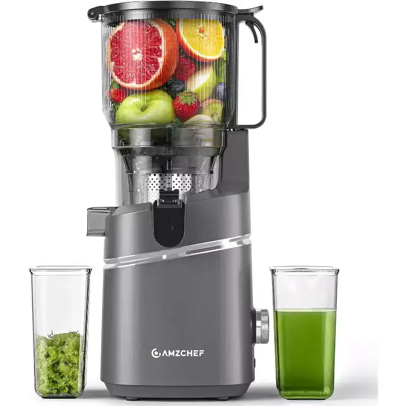 6.5-Inch Wide Chute Slow Masticating Juicer, 250W Cold Press Juice Extractor for Fruits & Veggies, High Yield with Reverse Function