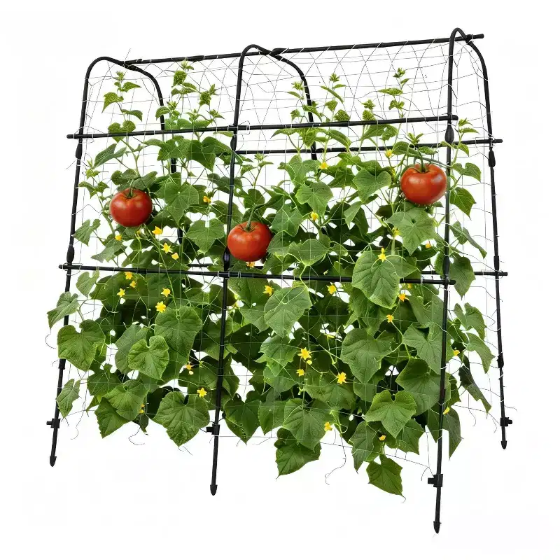Arch Trellis for Climbing Plants Outdoor, Cucumber & Melon Trellis for Raised Beds, u-Shape Plant Support for Climbing Vegetables, Grapes & Roses