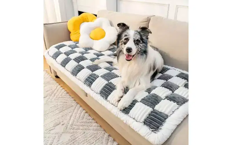 FUNNY FUZZY Dog Bed for Large Dogs