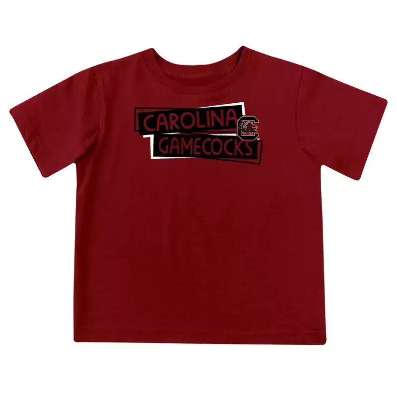 NCAA South Carolina Gamecocks Toddler Boys' 2pk Short Sleeve and Long Sleeve T-Shirts