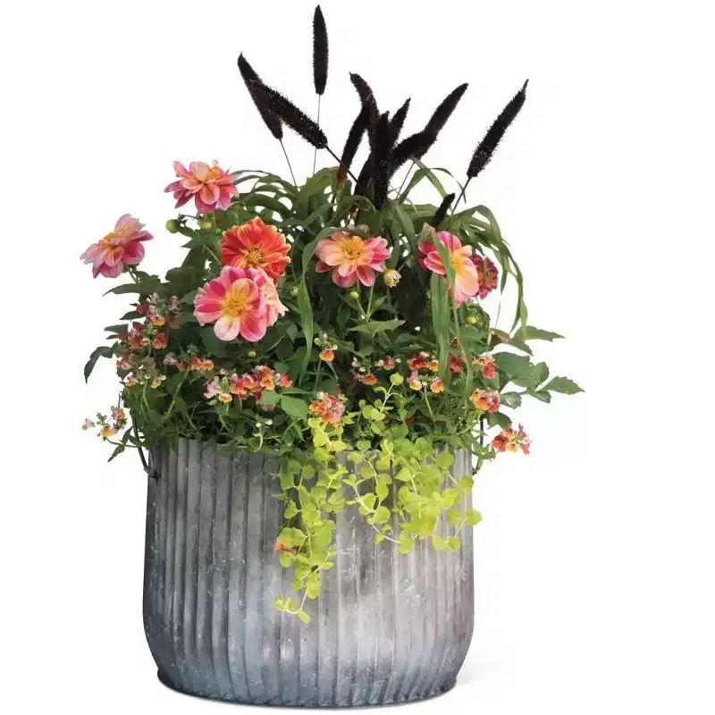 Gardener's Supply Company Galvanized Steel Ribbed Barrel Planter | 14 Diameter Indoor Outdoor Rust-Proof & Watertight Container for Plants & Flowers