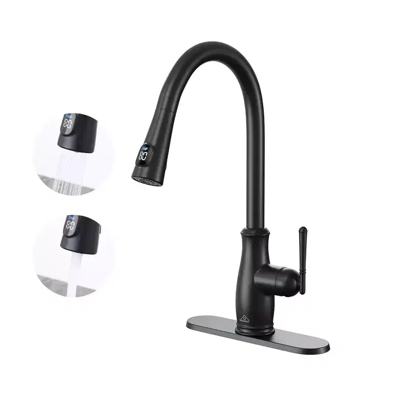 CASAINC Single Handle Pull Down Sprayer Kitchen Faucet with Intelligent Temperature Display in Matte Black