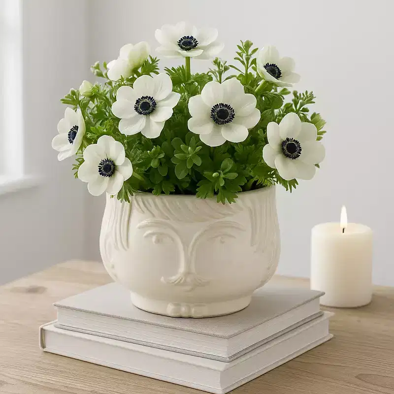 Flower Pot and Home Decor Planter - Ceramic Round Planter for Indoor or Outdoor - Planter Great for Room and Patio Decor -5 White
