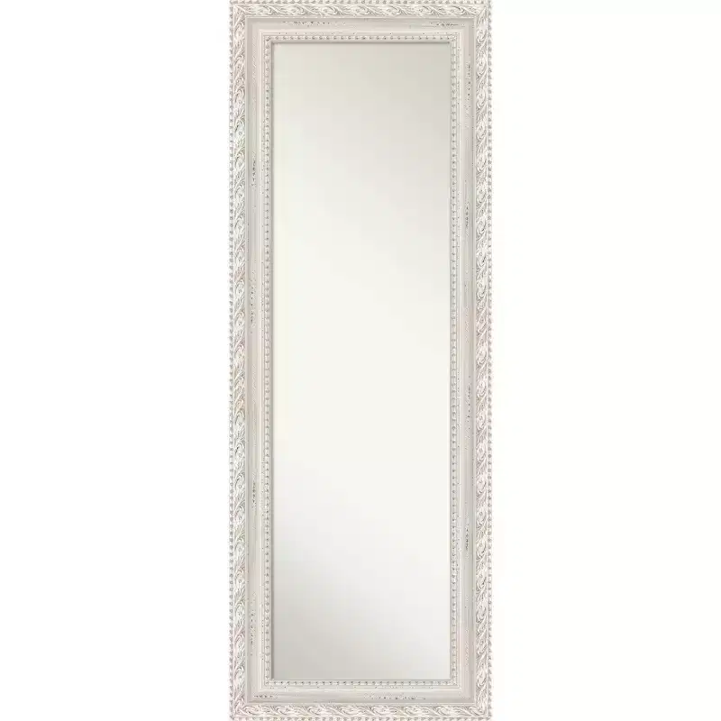 20x54 Non-Beveled Opera Wood Door Mirror, Wall-Mountable - Amanti Art