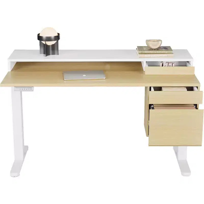 Standing Desk with Drawers and File Cabinet, 47 Inch Electric Height Adjustable Desk with Storage, Ergonomic Stand Up Table with Monitor Stand