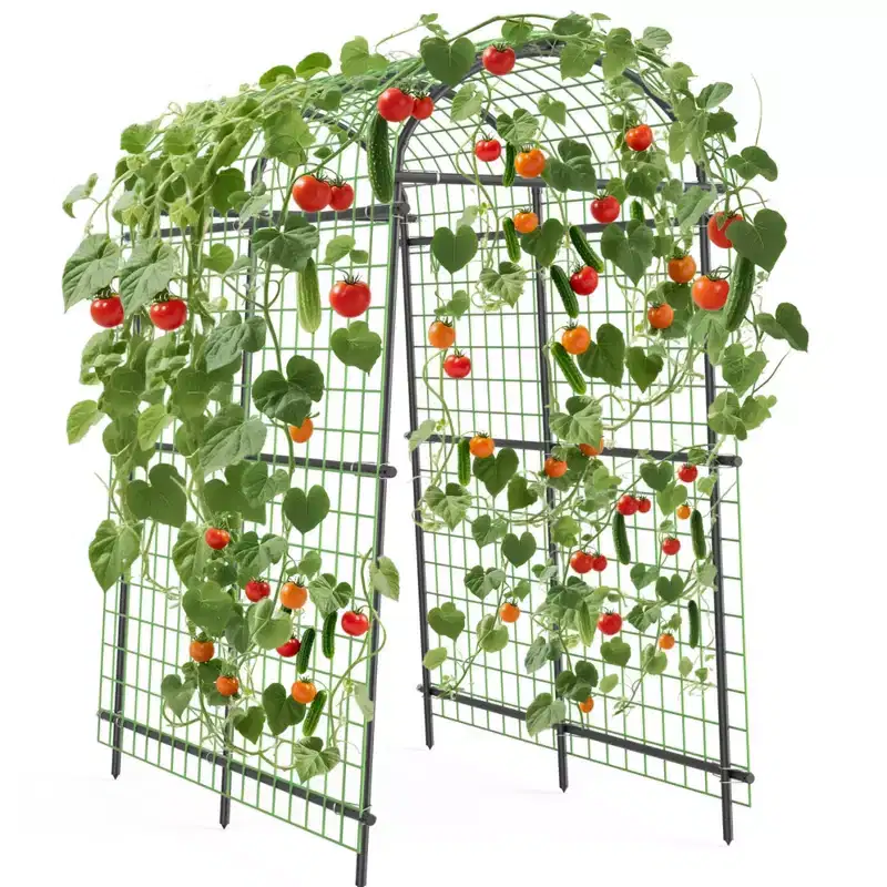 Garden Arch Trellis, Polyethylene-Coated Steel Arbor for Climbing Plants, Vegetables, Flowers, Outdoor Pergola or Event Decoration