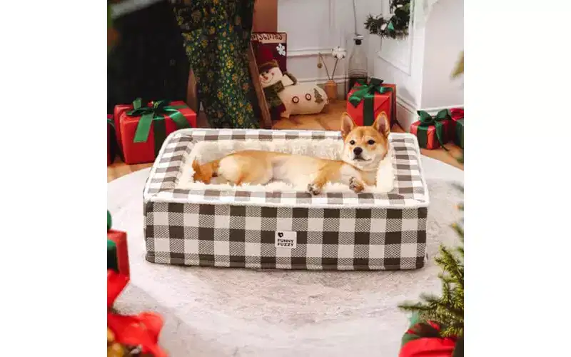 FUNNY FUZZY Dog Bed Sofa for Small Dogs