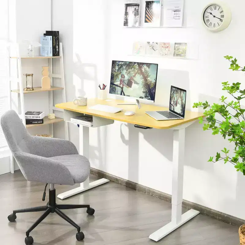 48" Electric Standing Desk, Height Adjustable with Control Panel & USB Port