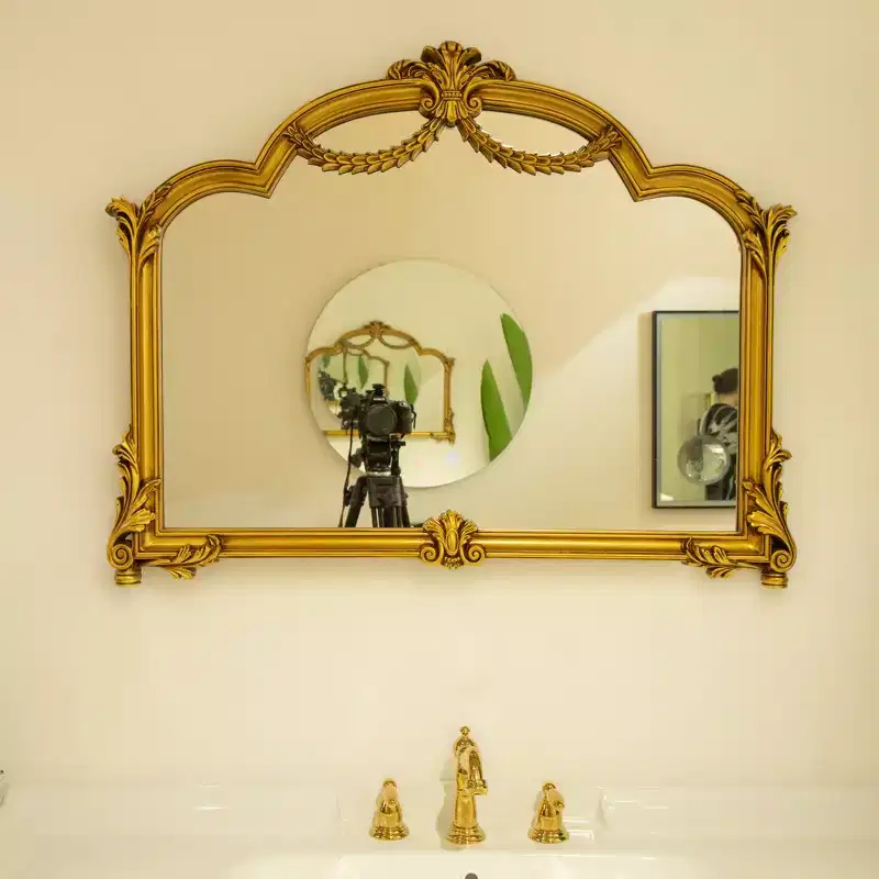 Baroque Revival Style Irregular Faux Leather Decorative Wall Mirror with 3-Color Adjustable Light