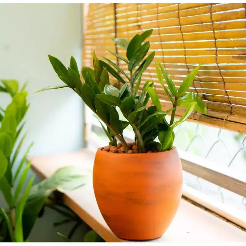 Smart Self-Watering Planter, ABS Round Pot with Terra Cotta Painting, Automatic Watering for Indoor & Outdoor - Terracotta