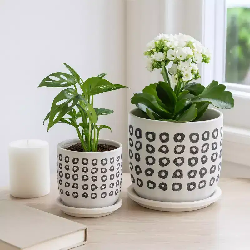 Stylish Ceramic Flower Pot with Saucer for Home Decor - Decorative Plant Pots for Shelf Accent or Plant Stand Indoor - Set of 2, 6, 5, Black & White