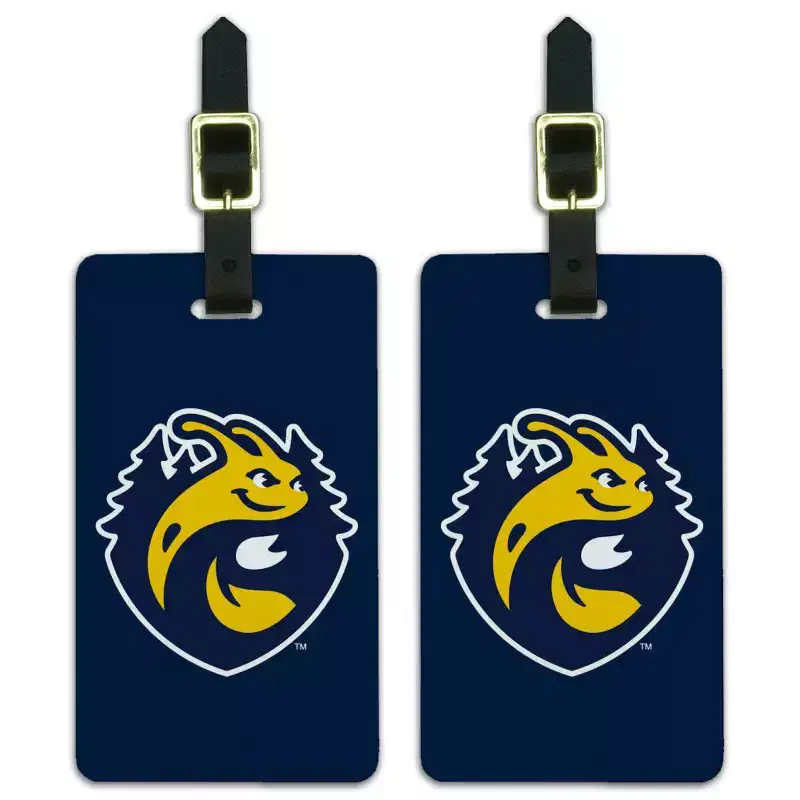 University of CaliforniaSanta Cruz Primary Logo Luggage ID Tags Suitcase CarryOn Cards Set of 2