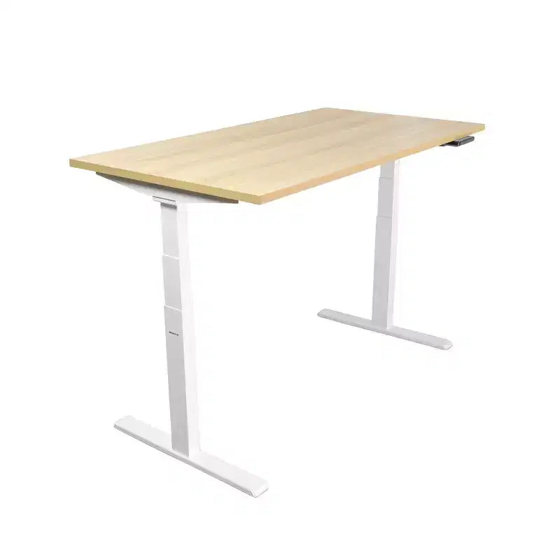Dual Motor Electric Standing Desk with 55" Tabletop �C Maple & White