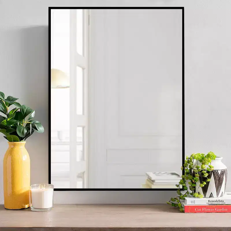 Dovelina Metal Framed Rectangle Mirror Decorative Wall Mirror - 38x24, Black